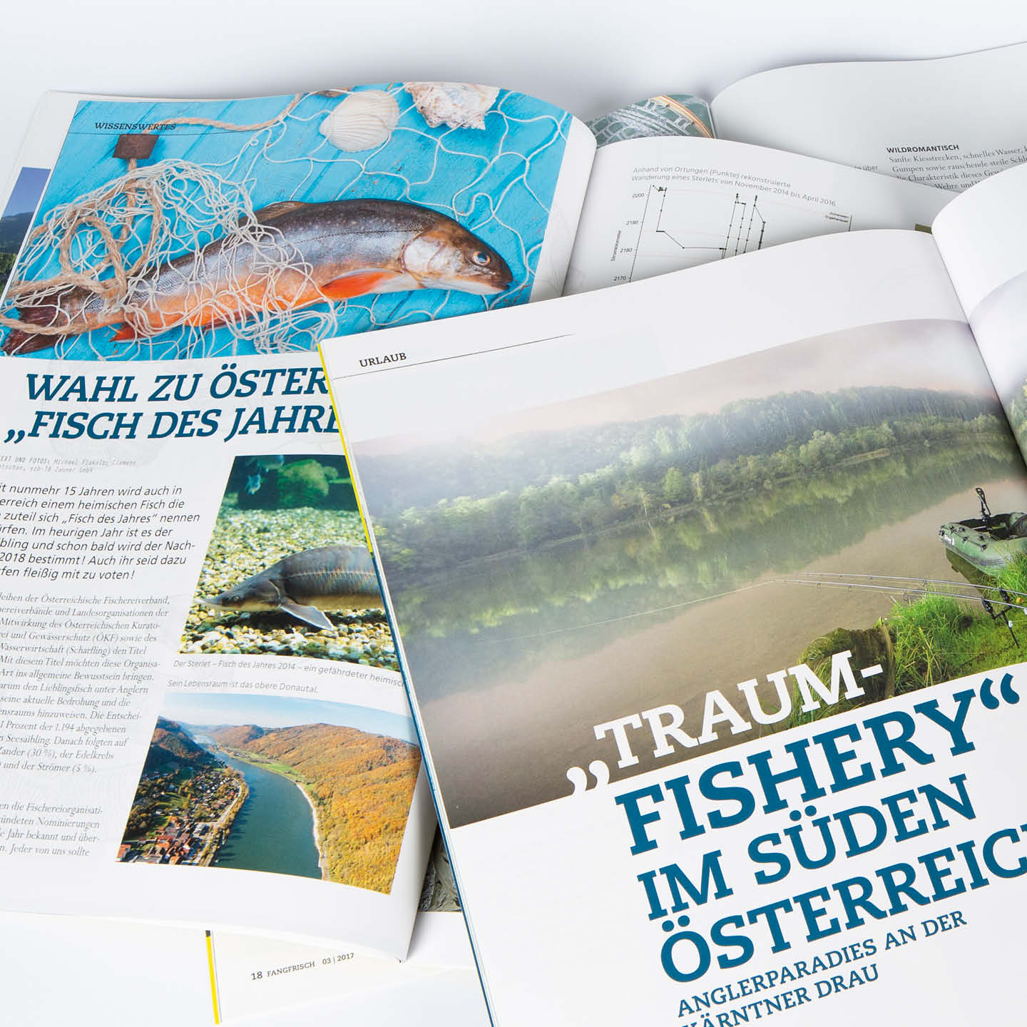 Fangfischee Magazinseiten Grafiker Wels Oberösterreich